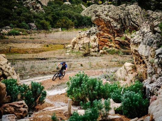 Retreat Guest Farm Piketberg Western Cape South Africa Bicycle, Vehicle, Cycling, Sport, Mountain Bike, Funsport