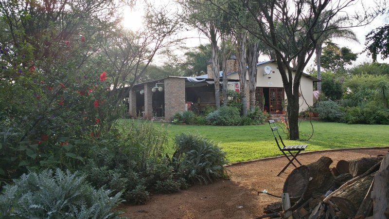 Retro Motel Kameeldrift East Pretoria Tshwane Gauteng South Africa Palm Tree, Plant, Nature, Wood, Framing, Garden