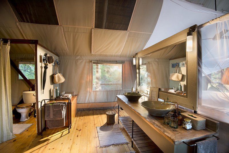 Returnafrica Pafuri Luxury Tented Camp North Kruger Park Mpumalanga South Africa 