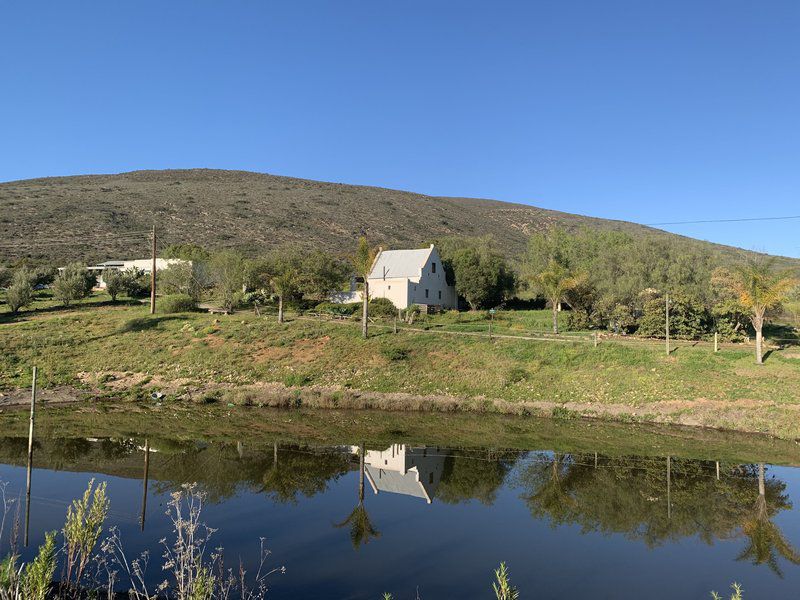 Rhebokskraal Olive Estate Mcgregor Western Cape South Africa Complementary Colors