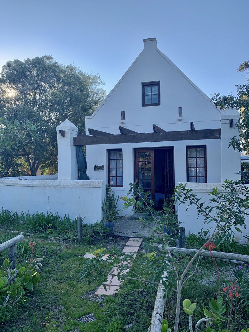 Rhebokskraal Olive Estate Mcgregor Western Cape South Africa Building, Architecture, House