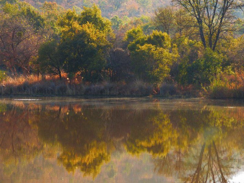 Rhenosterpoort Water Retreat Rankins Pass Limpopo Province South Africa River, Nature, Waters, Tree, Plant, Wood, Autumn