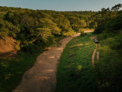 Rhino Sands Safari Camp, Forest, Nature, Plant, Tree, Wood, River, Waters, Cycling, Sport, Bicycle, Vehicle