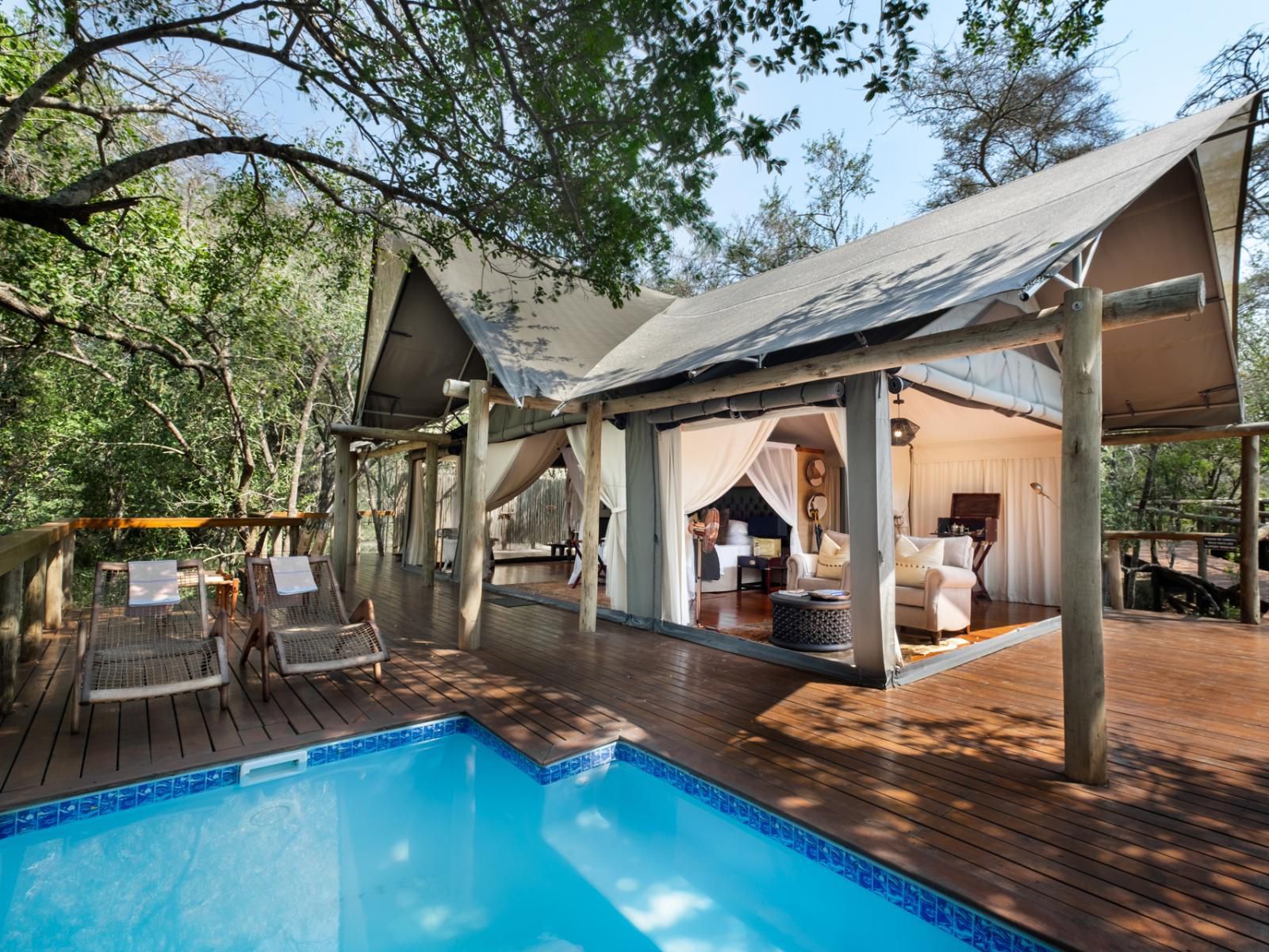 Rhino Sands Safari Camp, Tented Suite 2, Swimming Pool