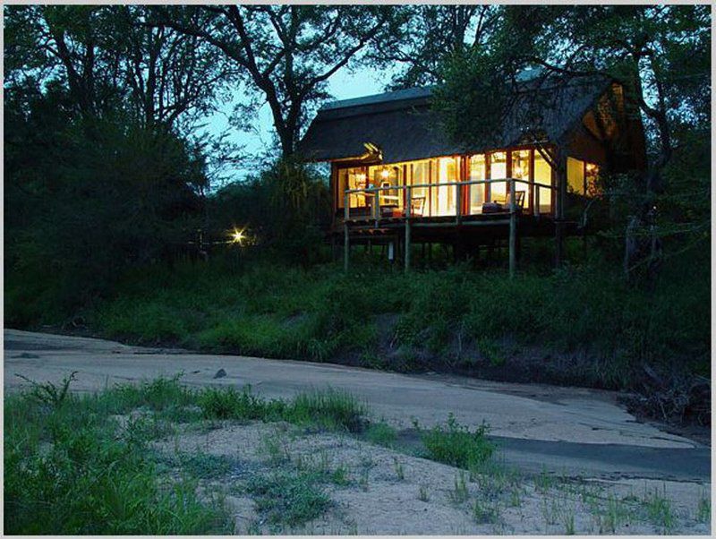 Rhino Post Safari Lodge Rhino Walking Safaris South Kruger Park Mpumalanga South Africa 