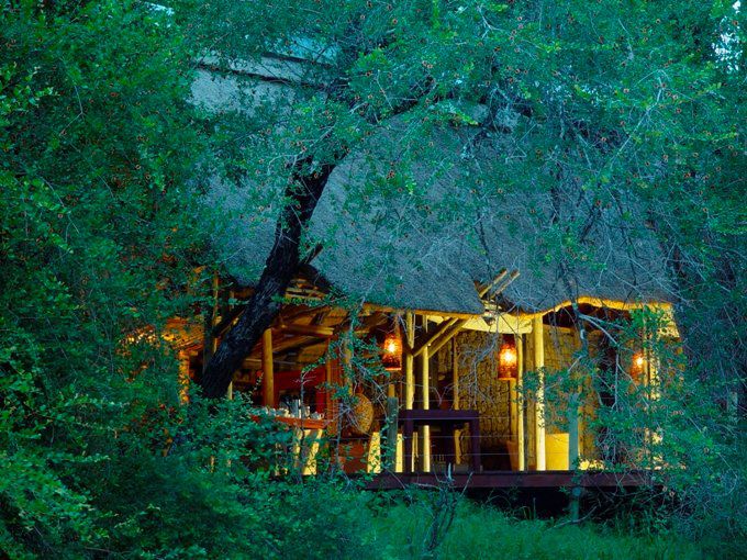 Rhino Post Safari Lodge Rhino Walking Safaris South Kruger Park Mpumalanga South Africa Colorful