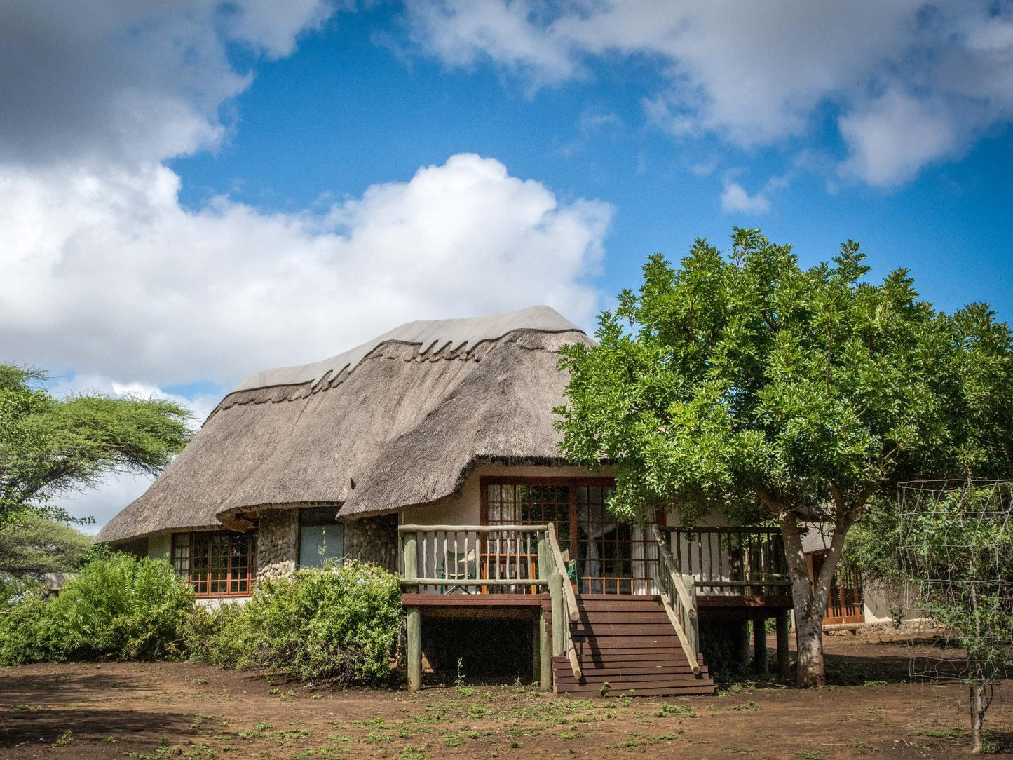 Deluxe Room 6 @ Rhino River Lodge