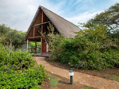 Family Loft Chalet 1 @ Rhino River Lodge