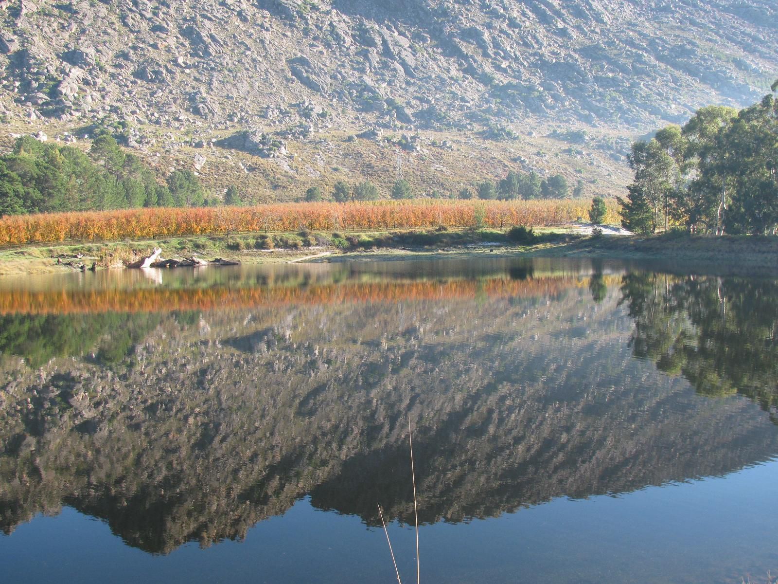 Rhodene Farm Cottages Prince Alfred Hamlet Western Cape South Africa Bridge, Architecture, Lake, Nature, Waters, Mountain, River, Highland