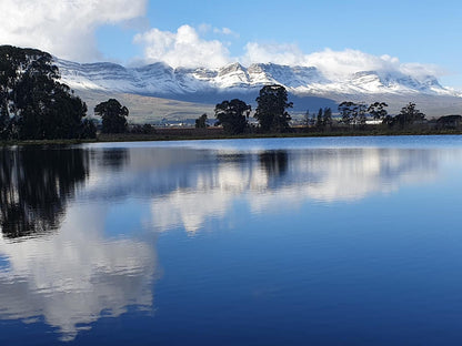 Rhodene Farm Cottages Prince Alfred Hamlet Western Cape South Africa Mountain, Nature