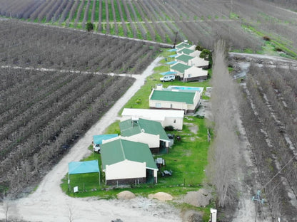 Rhodene Farm Cottages Prince Alfred Hamlet Western Cape South Africa Barn, Building, Architecture, Agriculture, Wood, Field, Nature, Aerial Photography