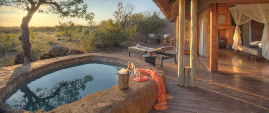 Rhulani Safari Lodge Madikwe Game Reserve North West Province South Africa Cactus, Plant, Nature, Swimming Pool