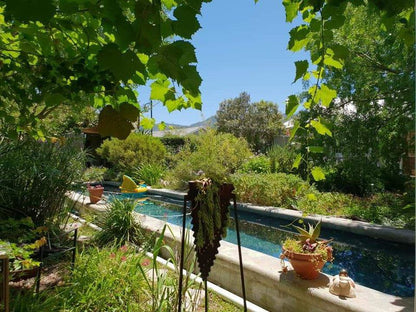 Rhus Cottage Stanford Western Cape South Africa Garden, Nature, Plant, Swimming Pool