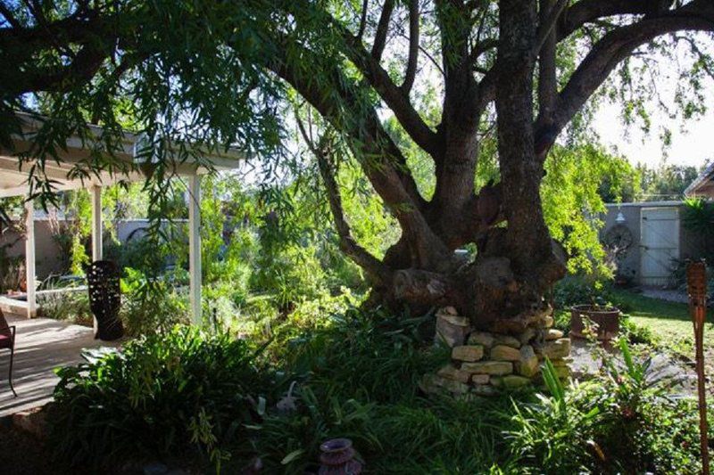 Rhus Cottage Stanford Western Cape South Africa Plant, Nature, Tree, Wood, Garden