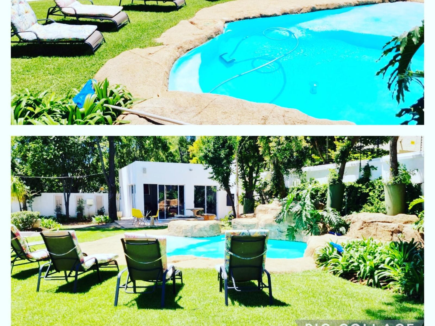 Richtershuyz Lifestyle Guesthouse Brooklyn Pretoria Tshwane Gauteng South Africa Complementary Colors, Palm Tree, Plant, Nature, Wood, Garden, Swimming Pool