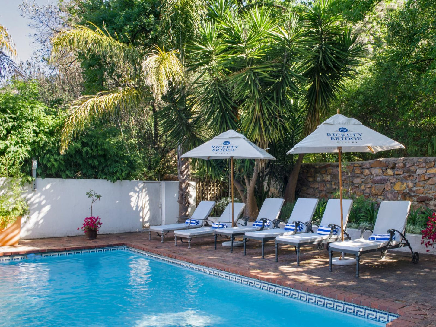 Rickety Bridge Franschhoek Western Cape South Africa Complementary Colors, Palm Tree, Plant, Nature, Wood, Swimming Pool