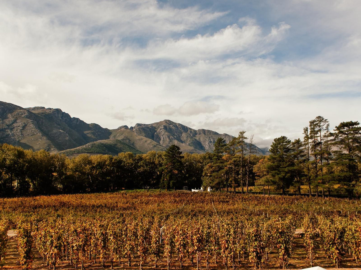 Rickety Bridge Franschhoek Western Cape South Africa Field, Nature, Agriculture