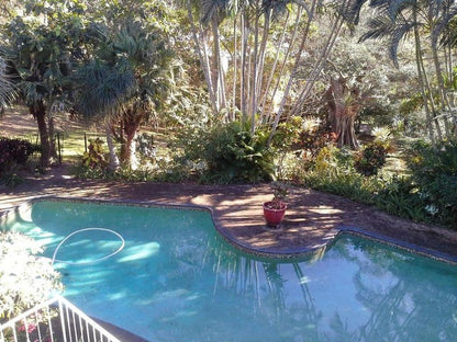 Ridge Road 18 St Michaels On Sea Margate Kwazulu Natal South Africa Palm Tree, Plant, Nature, Wood, Garden, Swimming Pool