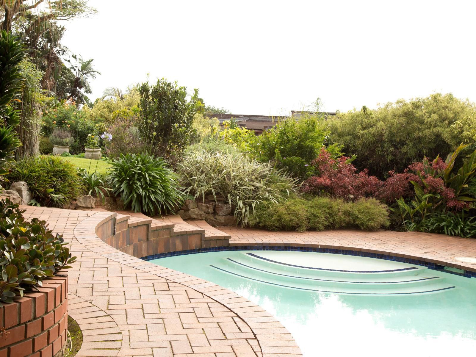 Ridgeview Lodge Berea Durban Kwazulu Natal South Africa Garden, Nature, Plant, Swimming Pool