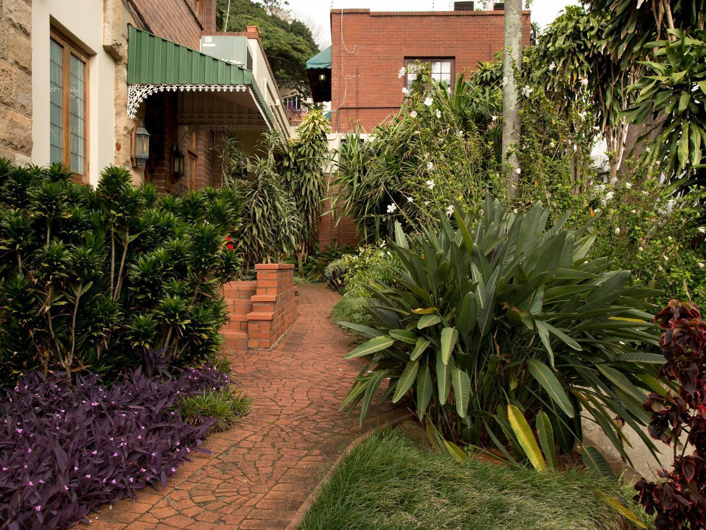 Ridgeview Lodge Berea Durban Kwazulu Natal South Africa House, Building, Architecture, Palm Tree, Plant, Nature, Wood, Garden