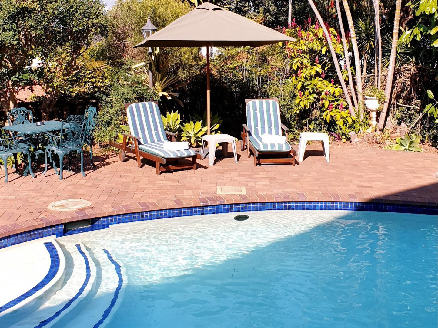 Ridgeview Lodge Berea Durban Kwazulu Natal South Africa Complementary Colors, Swimming Pool