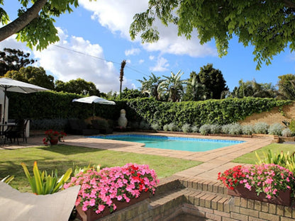 Ridgeworth Boutique Guesthouse Ridgeworth Cape Town Western Cape South Africa Complementary Colors, Palm Tree, Plant, Nature, Wood, Garden, Swimming Pool