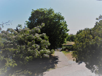 Riebeek Valley Hotel Riebeek West Western Cape South Africa Tree, Plant, Nature, Wood