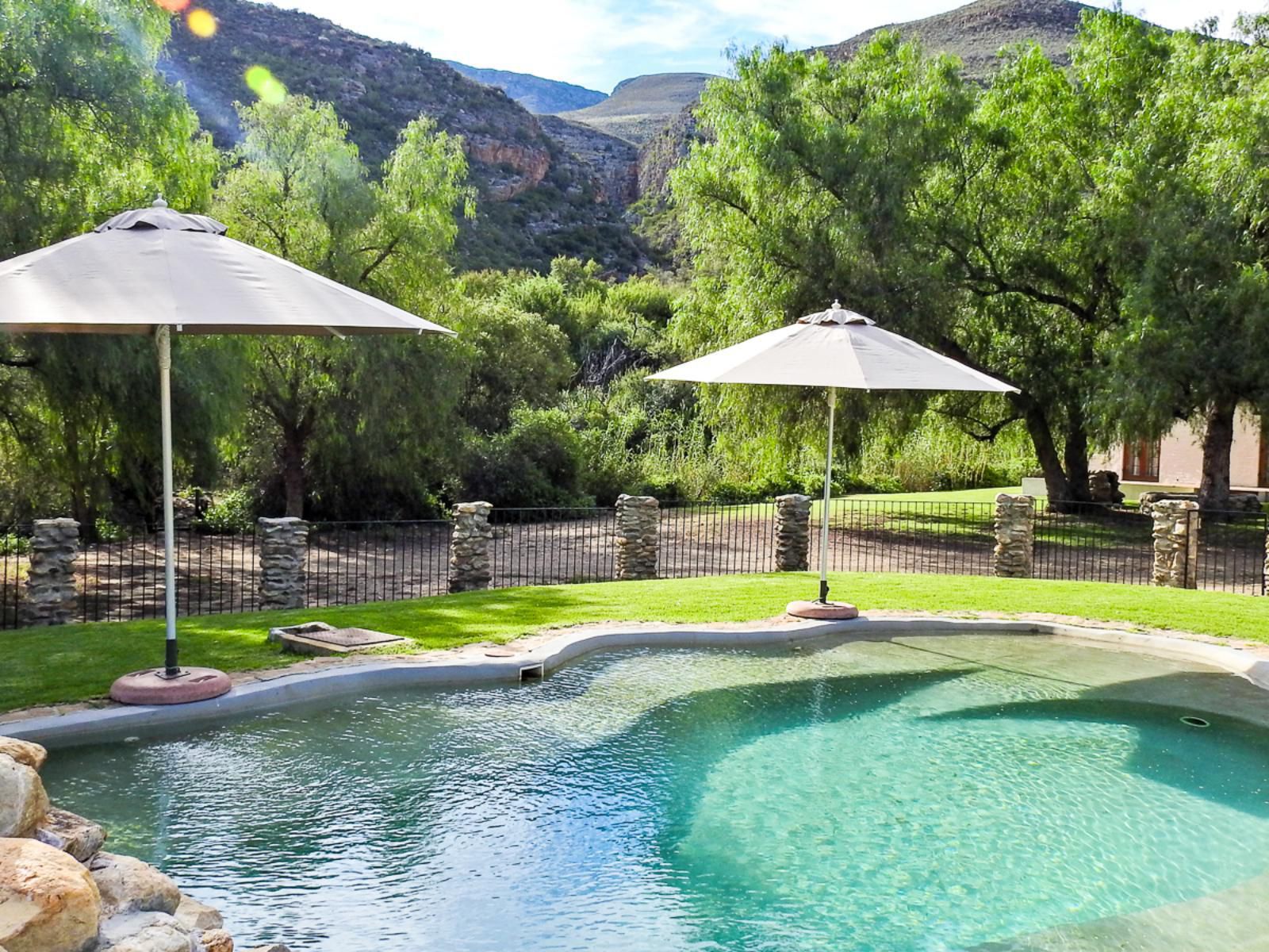 Rietfontein Guest Farm Ladismith Western Cape South Africa Swimming Pool