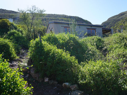 Rietfontein Guest Farm Ladismith Western Cape South Africa House, Building, Architecture, Highland, Nature