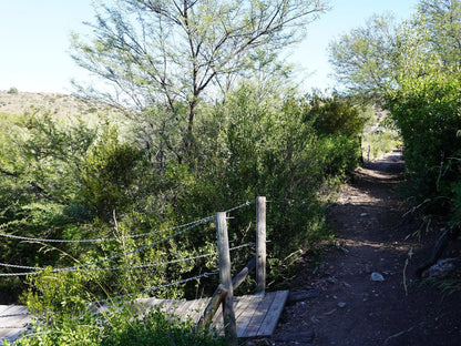 Rietfontein Guest Farm Ladismith Western Cape South Africa Plant, Nature