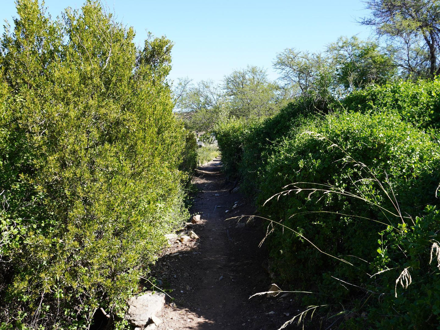 Klipspringer Cottage @ Rietfontein Guest Farm