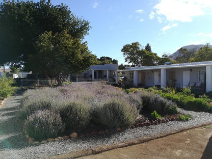 Rietjiesbos Self Catering Graaff Reinet Eastern Cape South Africa House, Building, Architecture, Garden, Nature, Plant