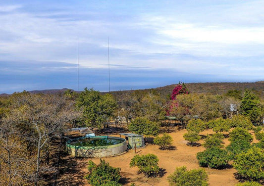 Rietvally Game Lodge Naboomspruit Limpopo Province South Africa Complementary Colors, Nature