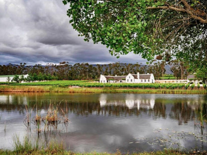 Rijks Wine Estate And Hotel Tulbagh Western Cape South Africa 