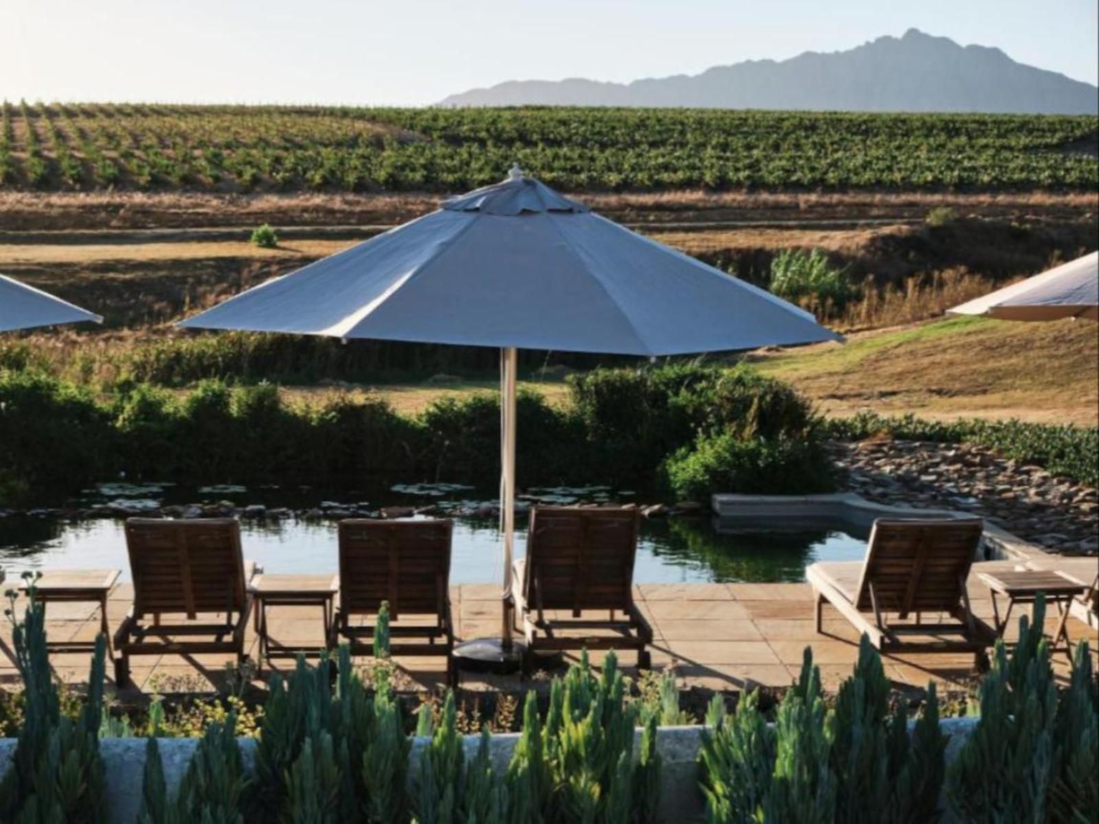 Rijks Wine Estate And Hotel Tulbagh Western Cape South Africa 