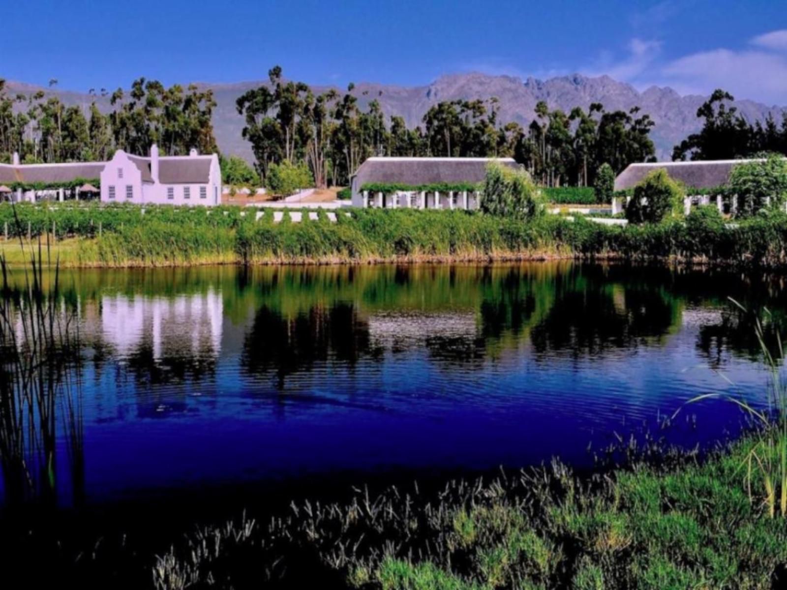 Rijks Wine Estate And Hotel Tulbagh Western Cape South Africa Complementary Colors, Palm Tree, Plant, Nature, Wood, River, Waters