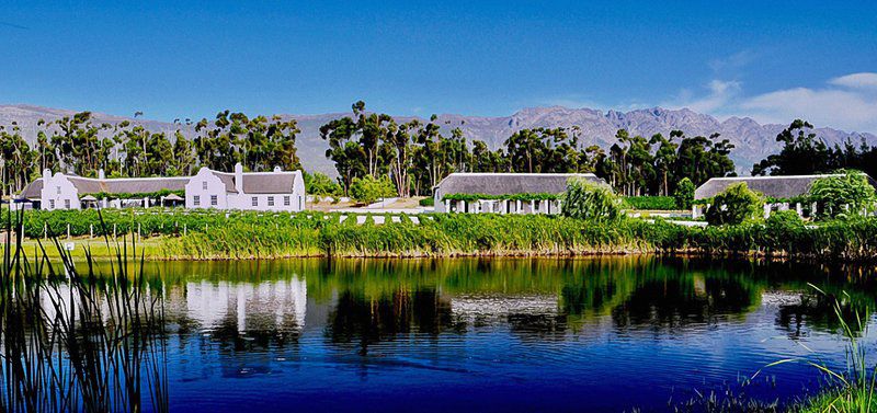 Rijk S Country House Tulbagh Western Cape South Africa Complementary Colors, Palm Tree, Plant, Nature, Wood