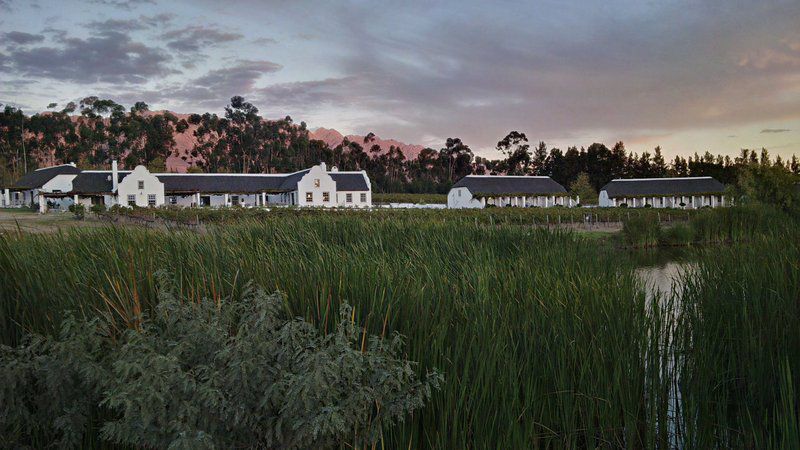 Rijk S Country House Tulbagh Western Cape South Africa Building, Architecture, Field, Nature, Agriculture, Palm Tree, Plant, Wood