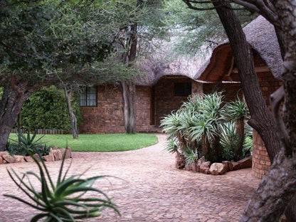 Rinkhalskop Safari Lodge Marble Hall Limpopo Province South Africa Plant, Nature, Garden