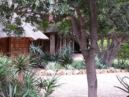 Rinkhalskop Safari Lodge Marble Hall Limpopo Province South Africa Plant, Nature, Garden