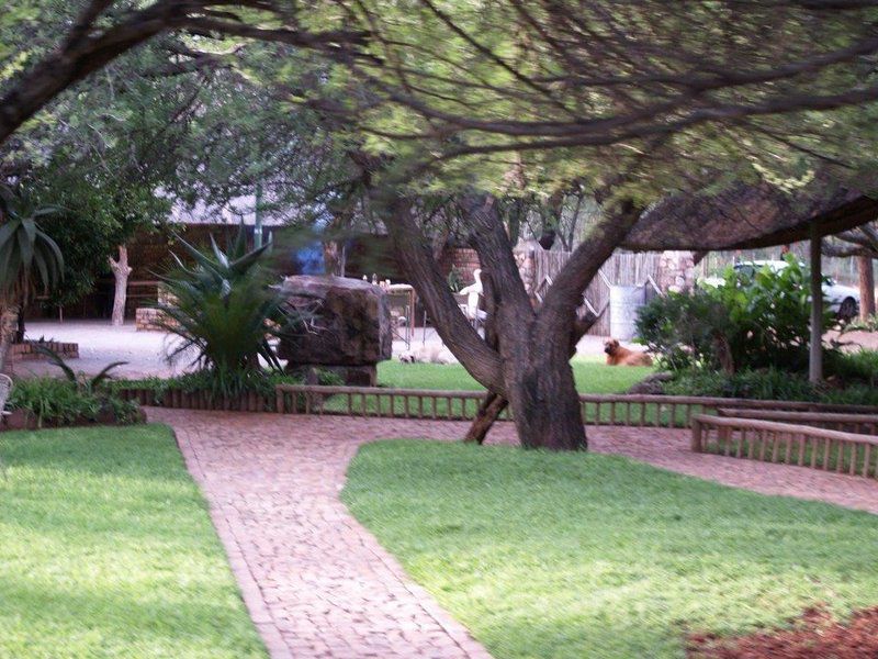 Rinkhalskop Safari Lodge Marble Hall Limpopo Province South Africa Plant, Nature, Garden