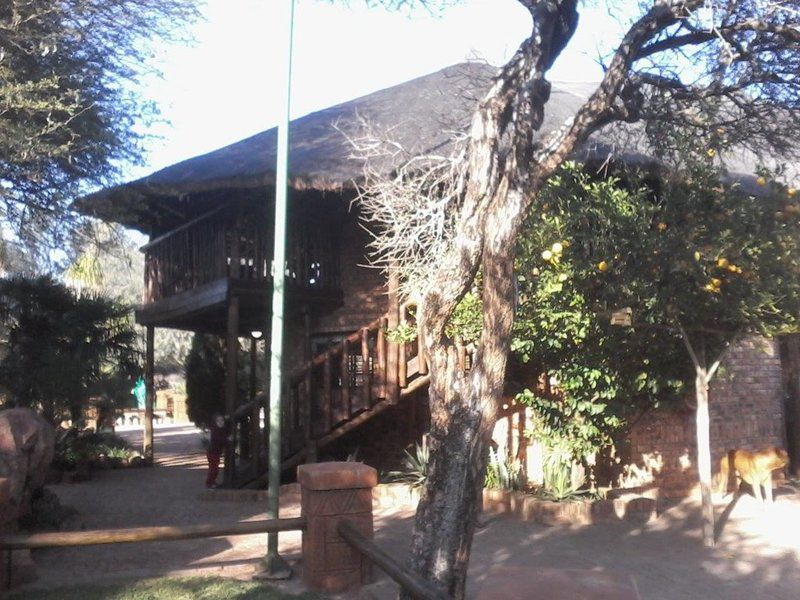 Rinkhalskop Safari Lodge Marble Hall Limpopo Province South Africa 