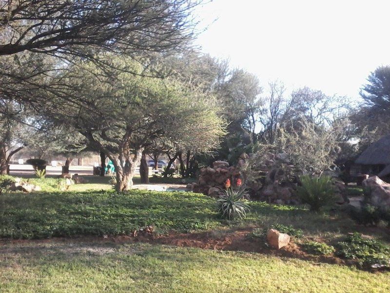 Rinkhalskop Safari Lodge Marble Hall Limpopo Province South Africa Palm Tree, Plant, Nature, Wood