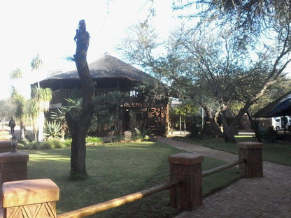 Rinkhalskop Safari Lodge Marble Hall Limpopo Province South Africa Palm Tree, Plant, Nature, Wood