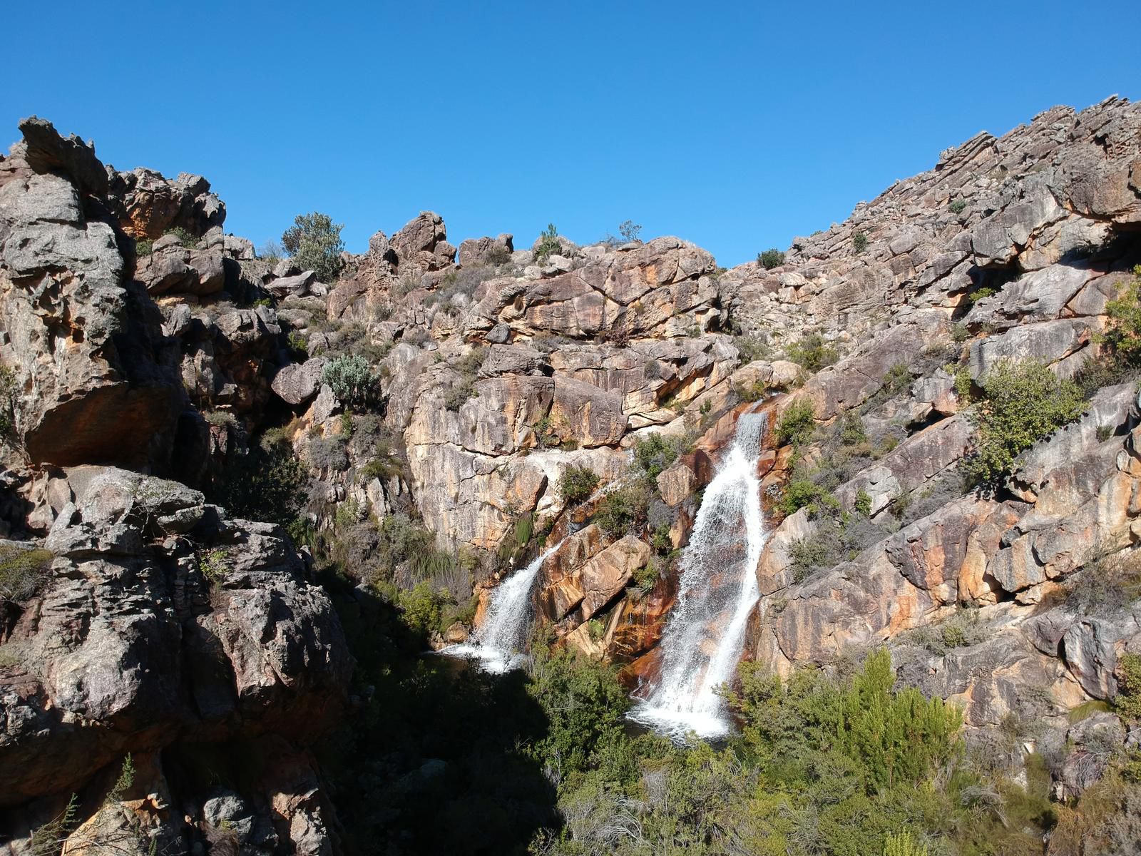 River Cottage Prince Alfred Hamlet Western Cape South Africa Complementary Colors, Cactus, Plant, Nature, Canyon, Waterfall, Waters