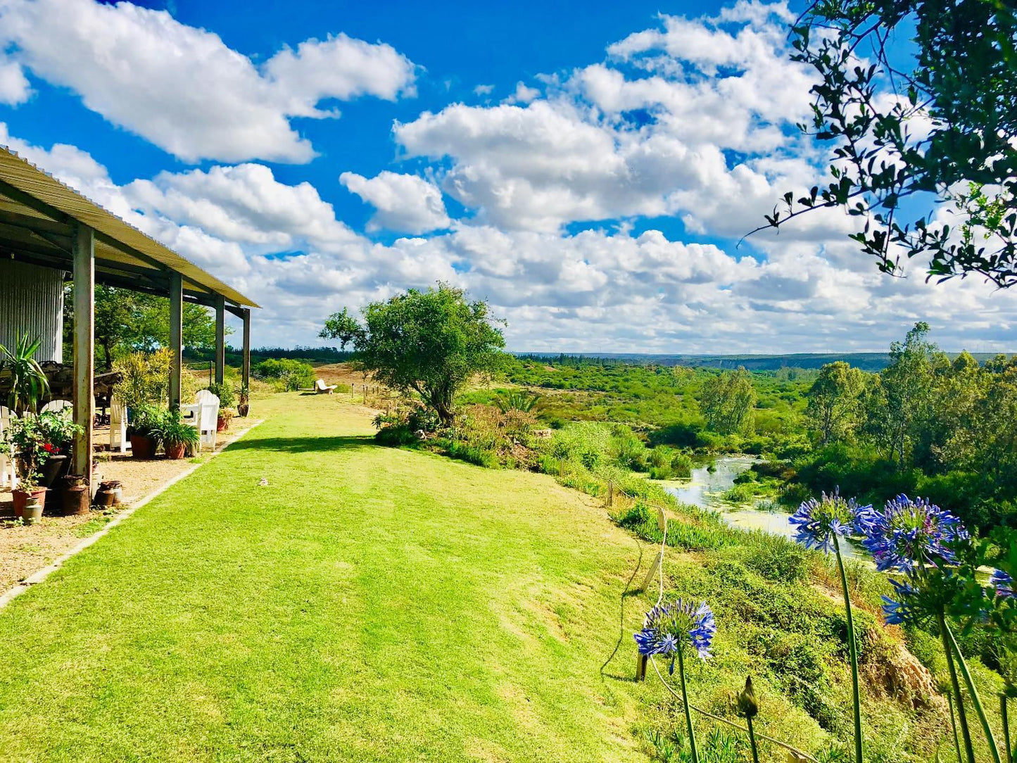 River Front Estate Addo Eastern Cape South Africa Complementary Colors, Garden, Nature, Plant