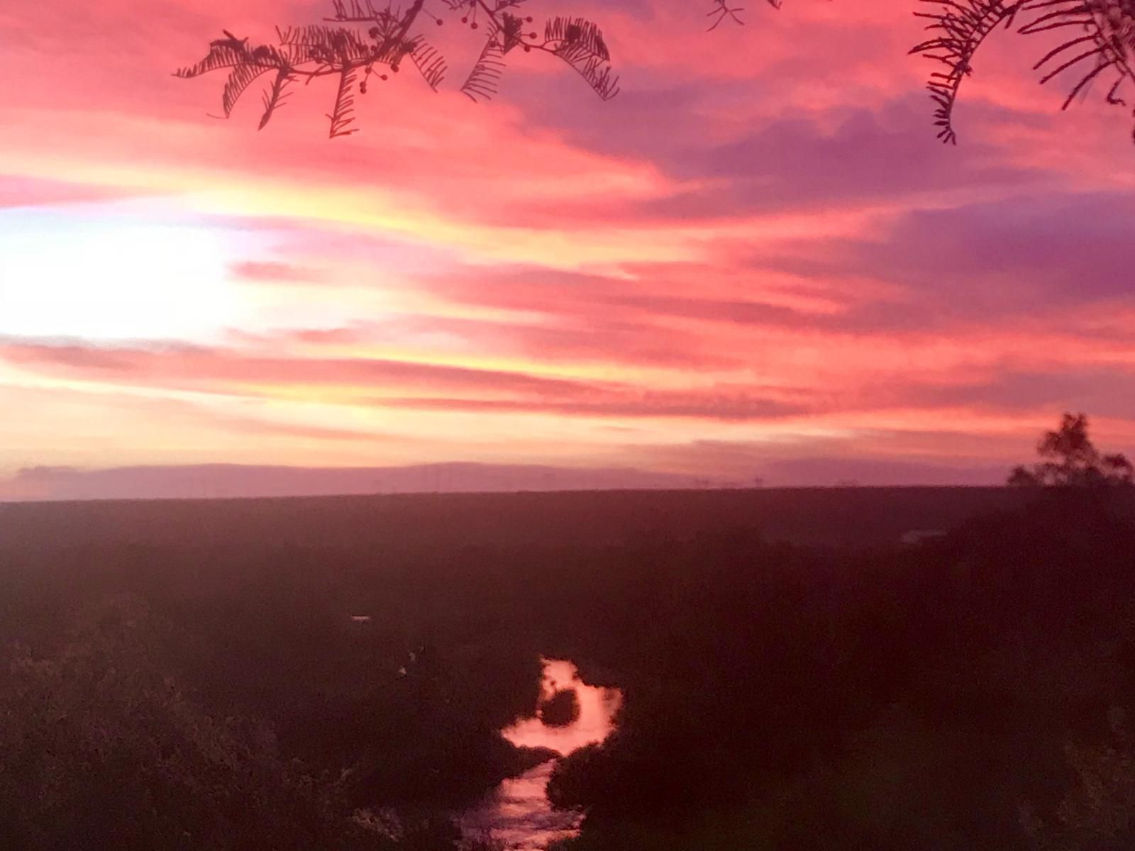 River Front Estate Addo Eastern Cape South Africa Colorful, Palm Tree, Plant, Nature, Wood, Sky, Sunset