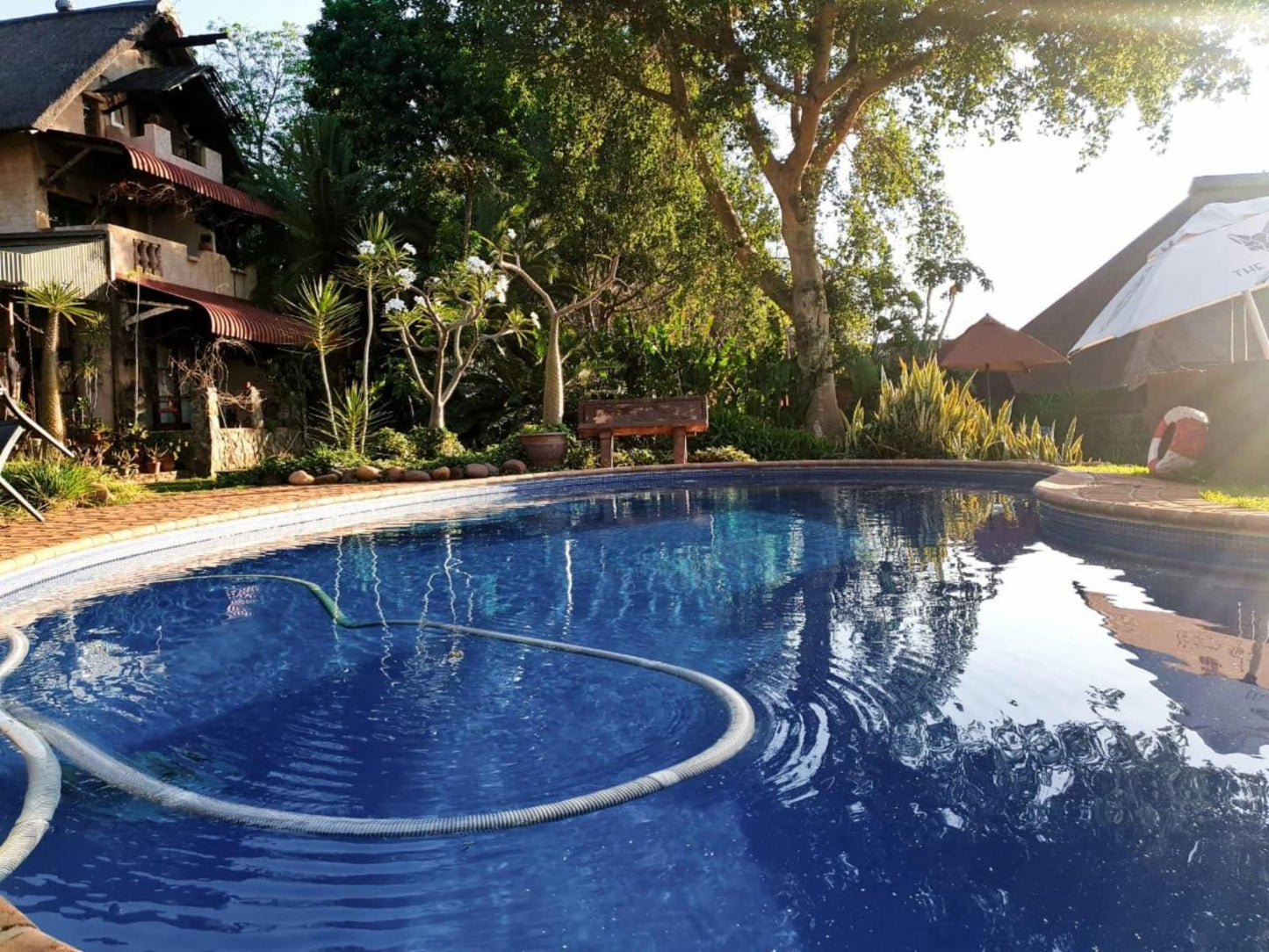 River House Lodge, Palm Tree, Plant, Nature, Wood, Garden, Swimming Pool