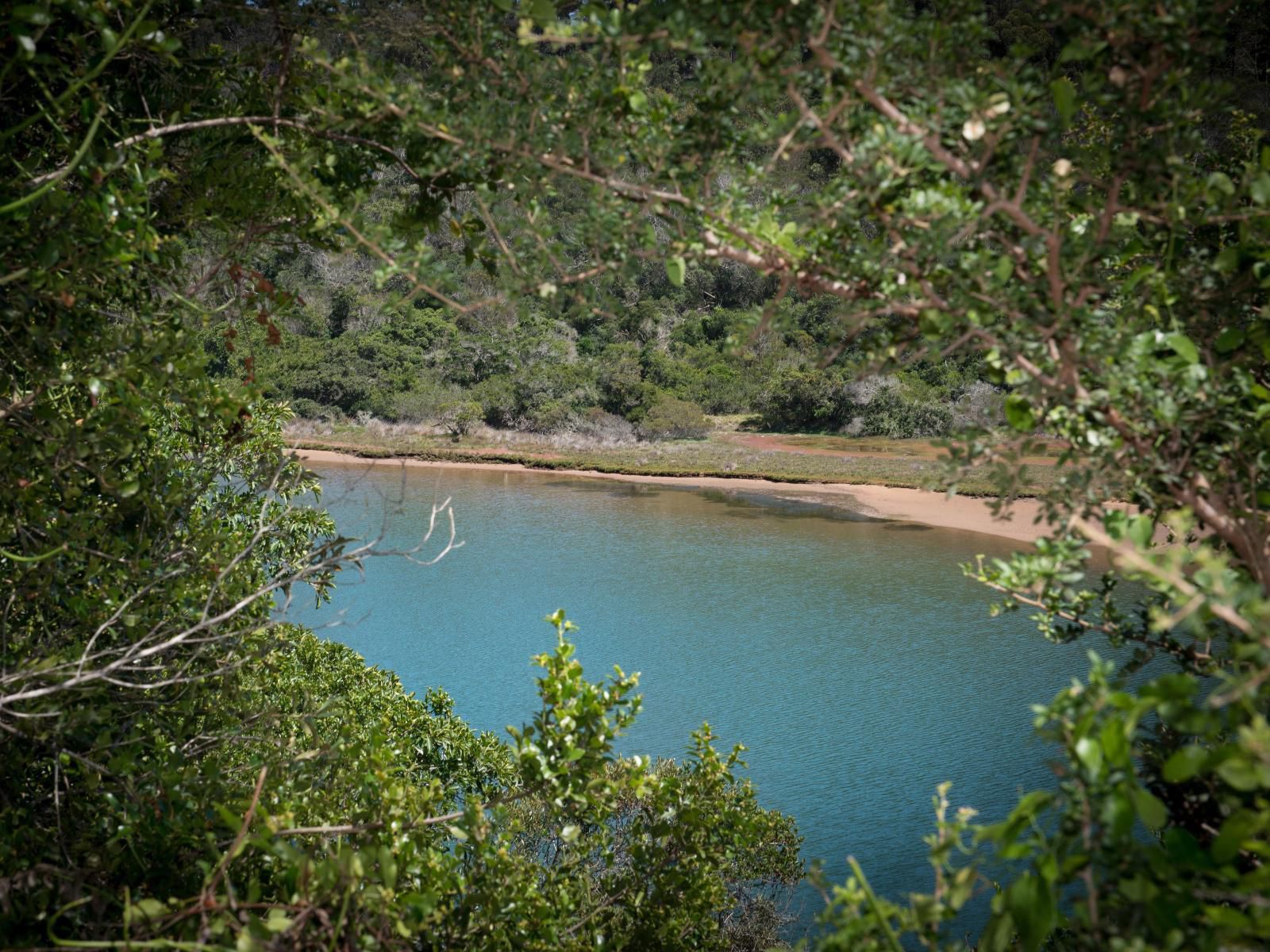 River Kaya St Francis Bay Eastern Cape South Africa Bridge, Architecture, Forest, Nature, Plant, Tree, Wood, River, Waters