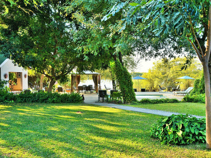 River View Lodge, Plant, Nature